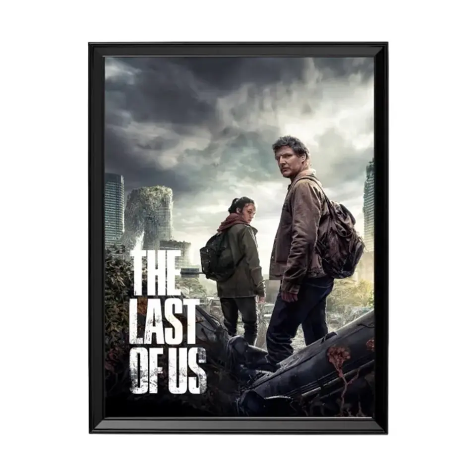 Cuadro The Last Of Us 1