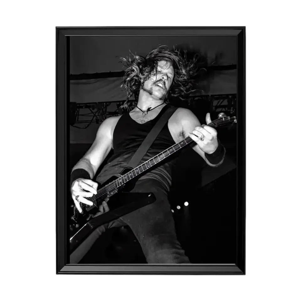 Cuadro James Hetfield Metallica 1