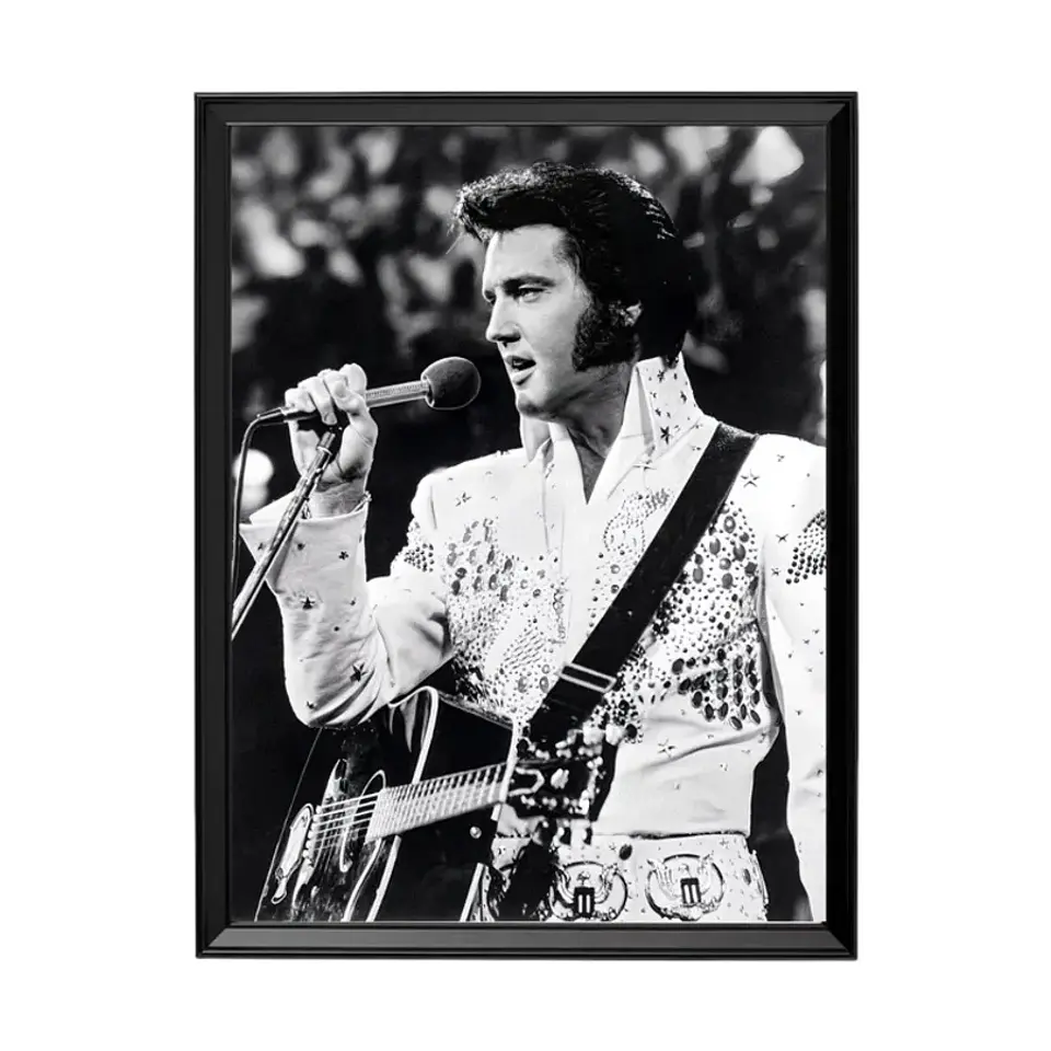 Cuadro Elvis Presley 1