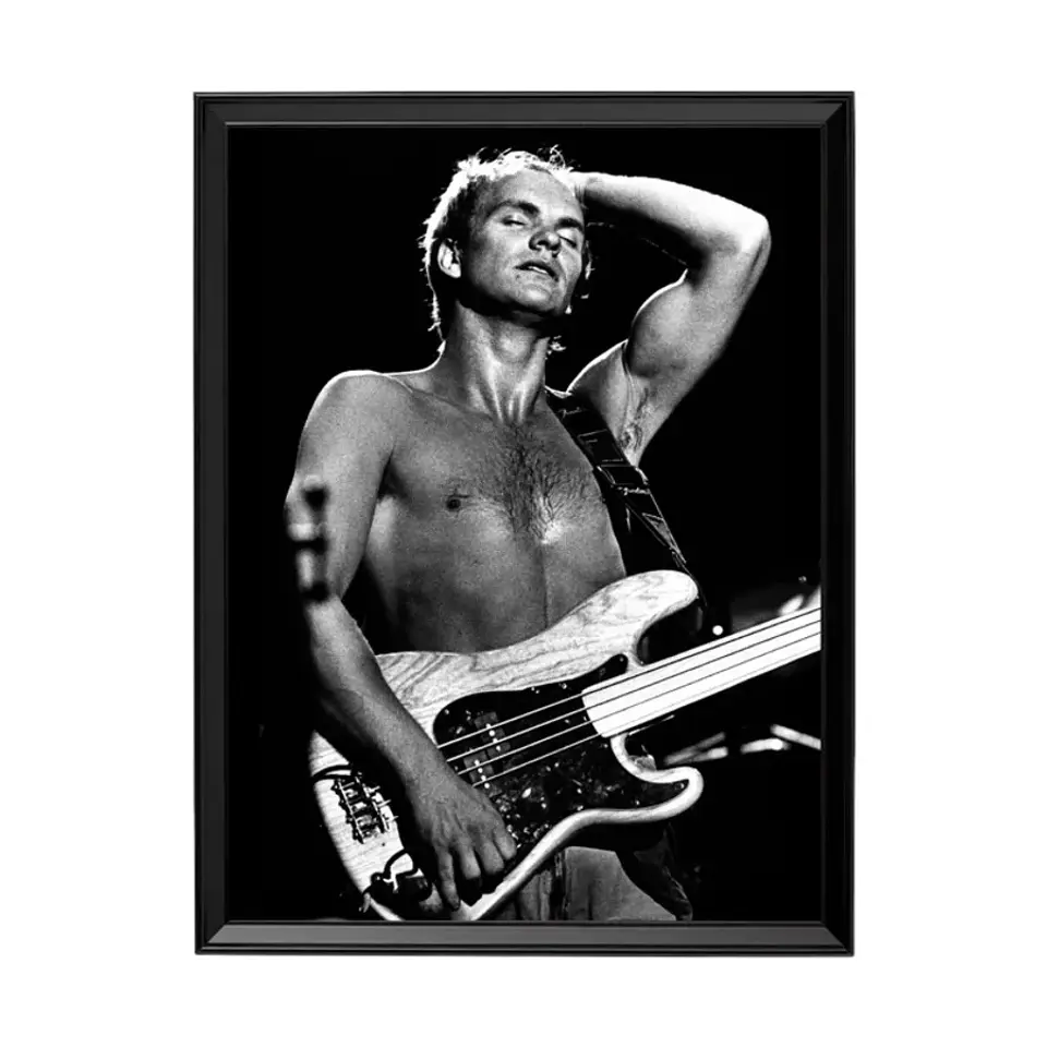 Cuadro Sting The Police 1