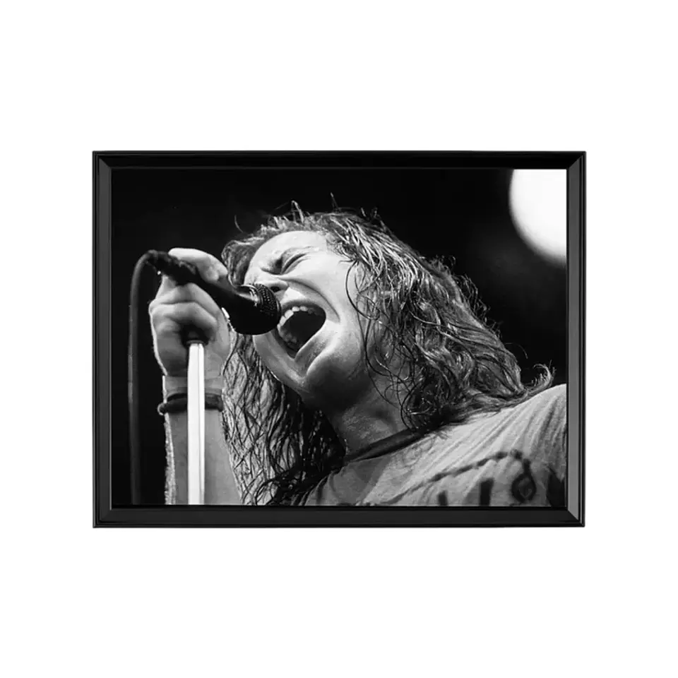 Cuadro Eddie Veder (Pearl Jam) 1
