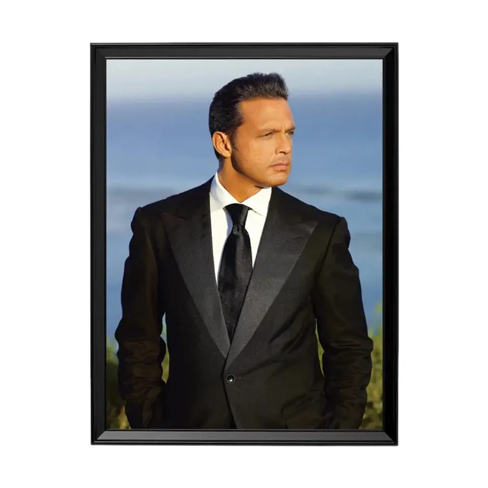 Cuadro Luis Miguel 1