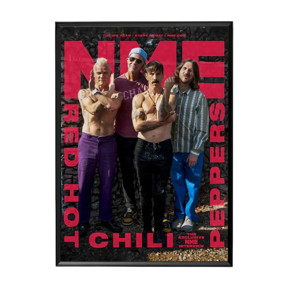 Cuadro Red Hot Chili Peppers 1