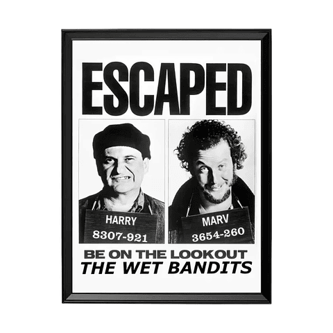 Los Bandidos Mojados (Mi Pobre Angelito)