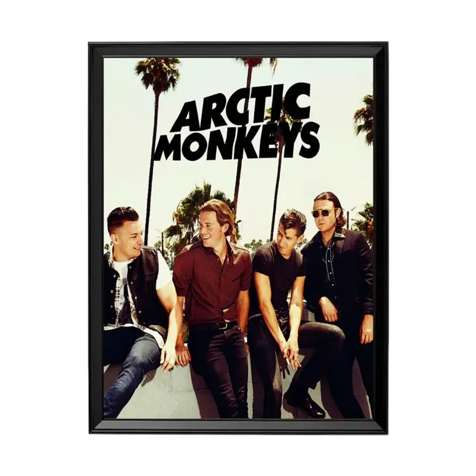 Cuadro Artic Monkeys 1