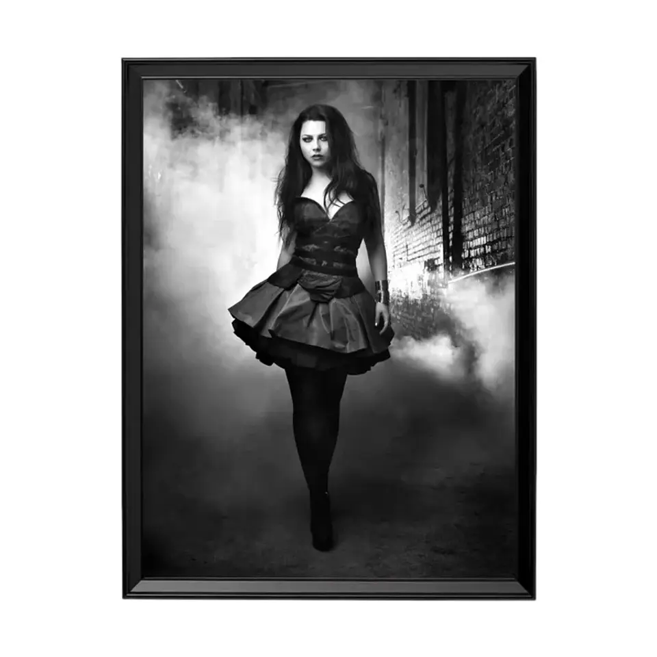 Cuadro Amy Lee Evanescence 1