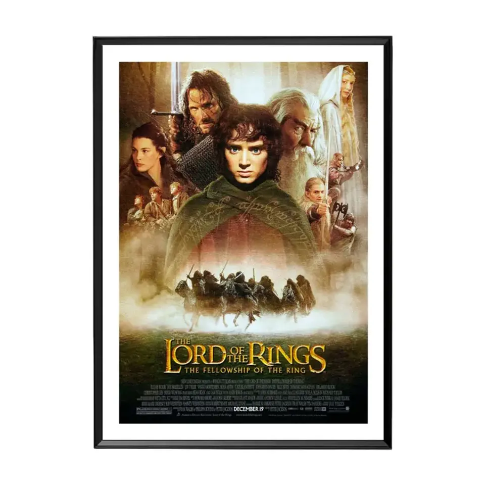 Cuadro El Señor De Los Anillos - La comunidad del anillo 1