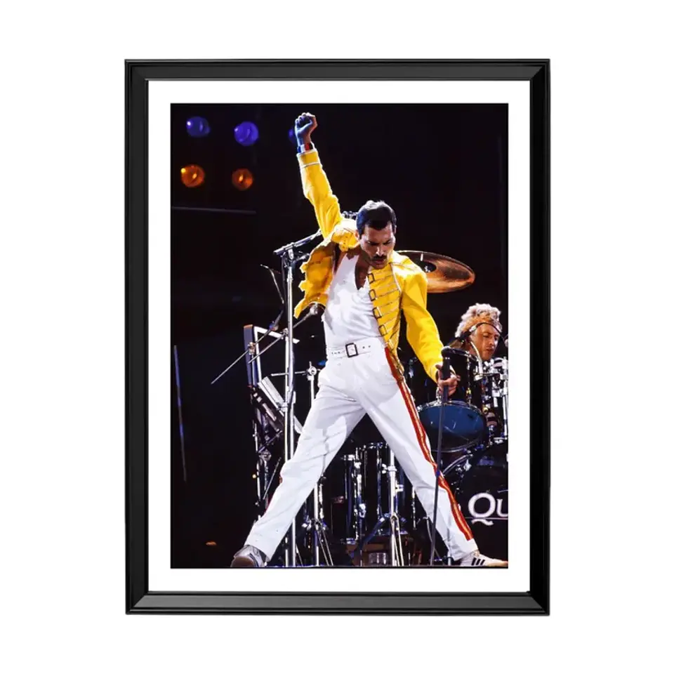 Cuadro Freddie Mercury (Queen) 1