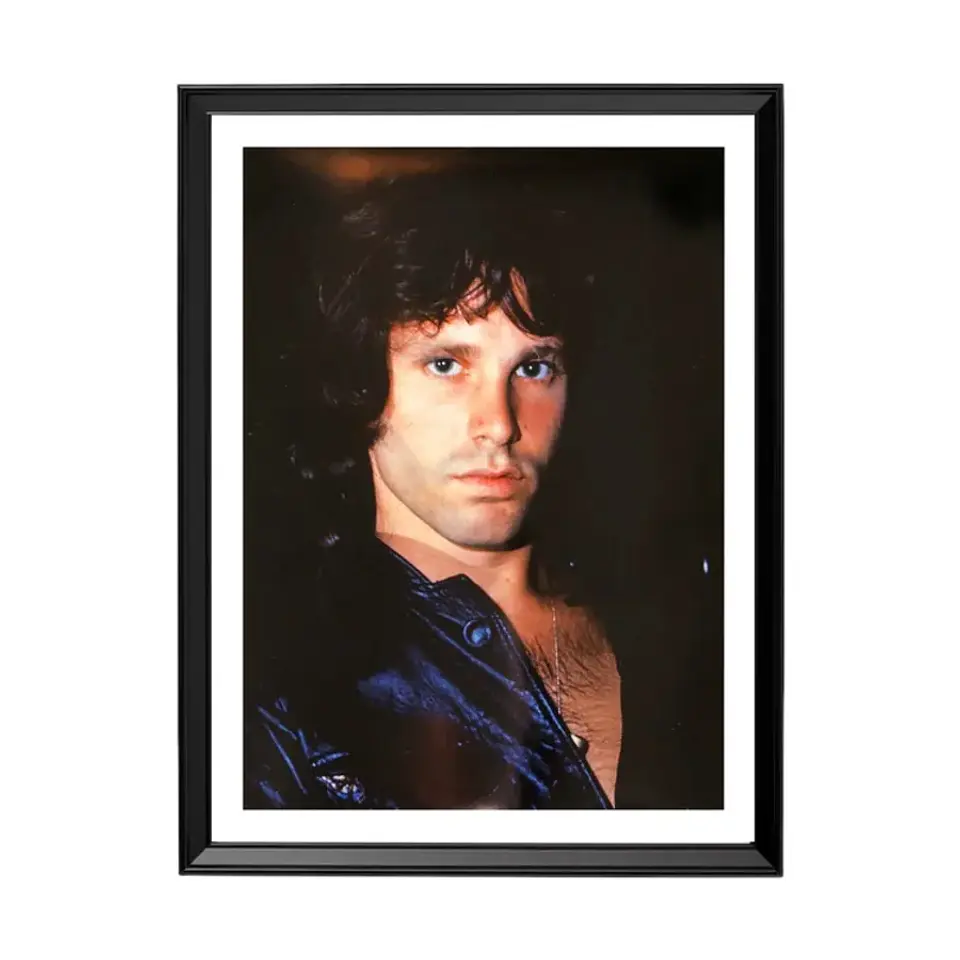 Cuadro Jim Morrison The Doors 1