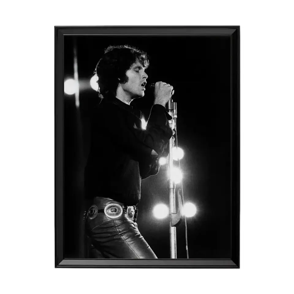Cuadro Jim Morrison The Doors 1