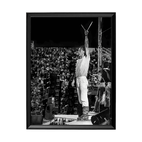 Gabriel Parra (Los Jaivas)