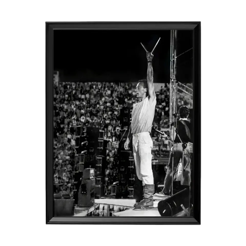 Cuadro Gabriel Parra (Los Jaivas) 1