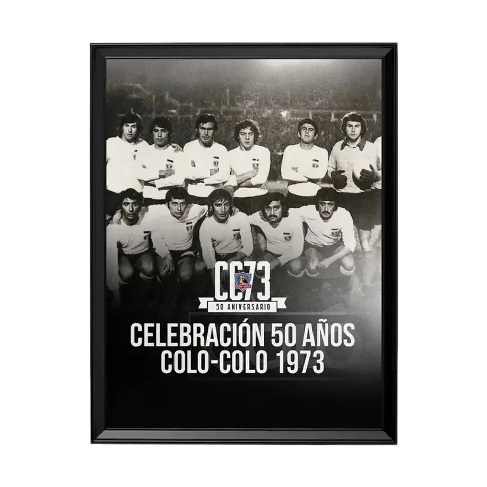 Cuadro Colo Colo 1973 1