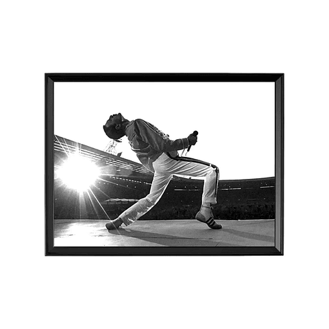 Freddie Mercury Queen