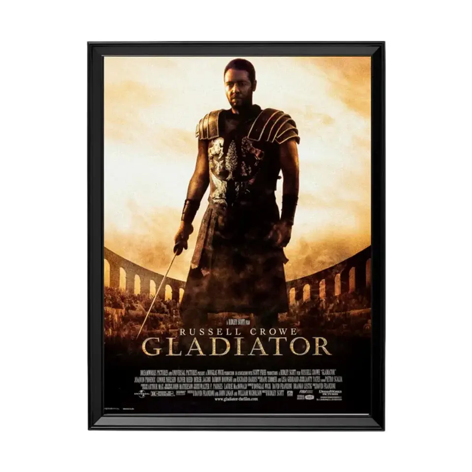 Cuadro Gladiador 1