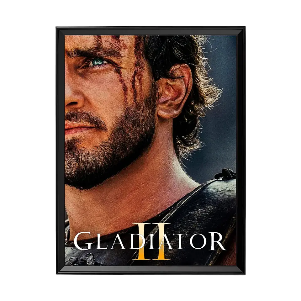 Cuadro Gladiador II 1