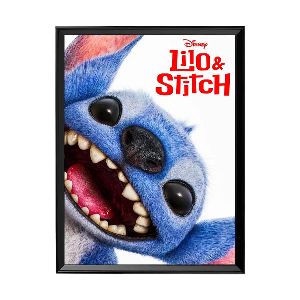 Cuadro Lilo & Stitch 1