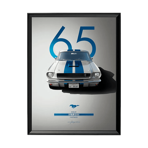 Ford Mustang Shelby G.t. 350 1965