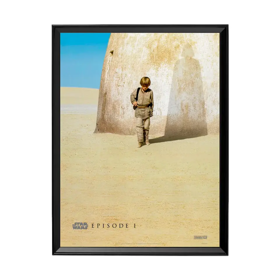 Cuadro Anakin Skywalker - Star Wars 1