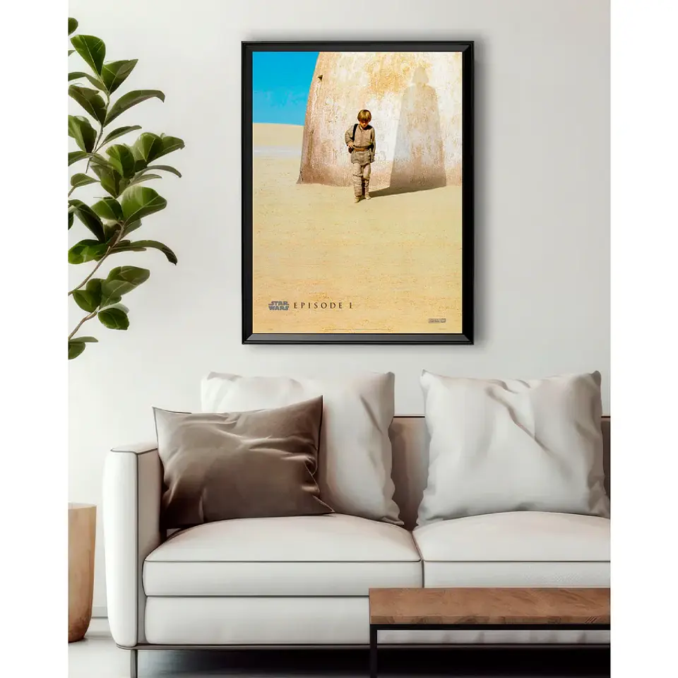 Cuadro Anakin Skywalker - Star Wars 2