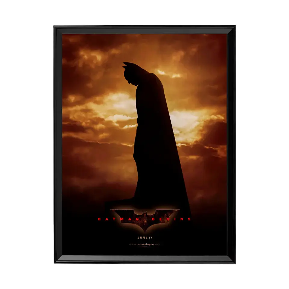 Cuadro Batman Begins 1