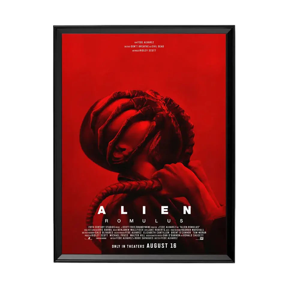 Cuadro Alien Romulus 1