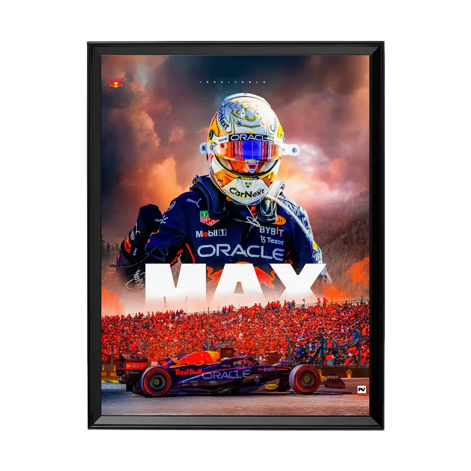 Max Verstappen 1