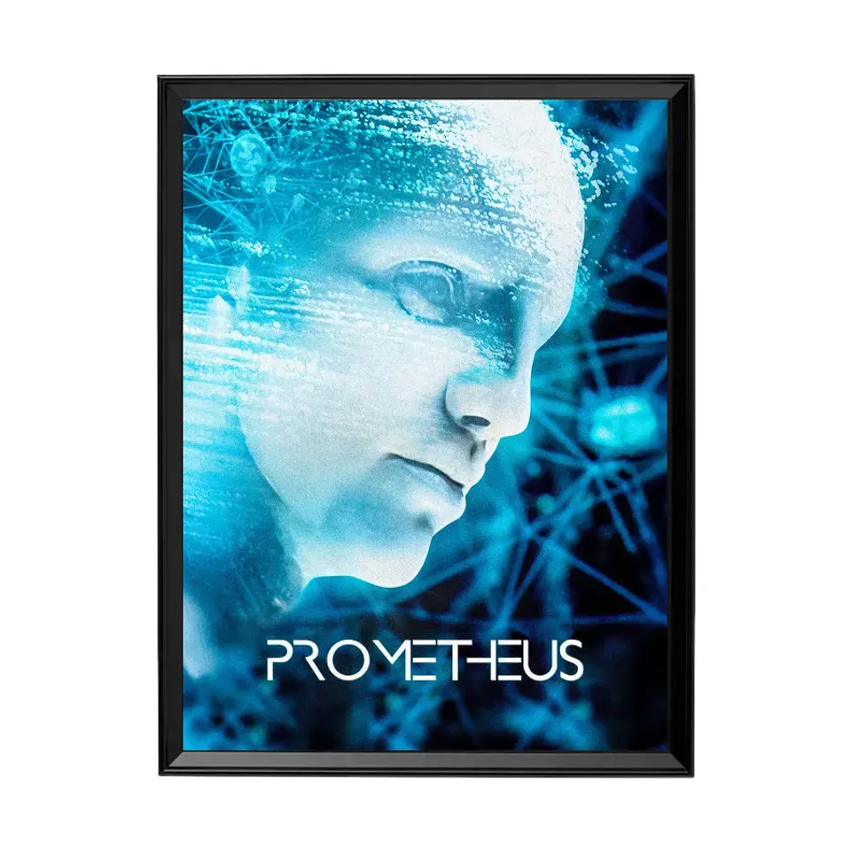 Cuadro Prometheus 1