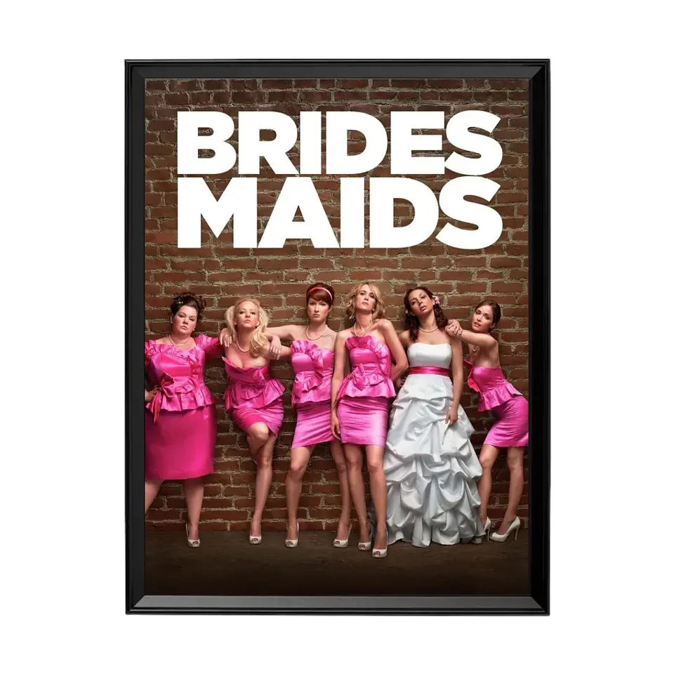 Cuadro Bridesmaids - Damas En Guerra 1