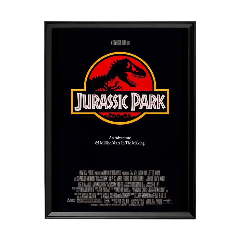 Cuadro Jurassic Park 1