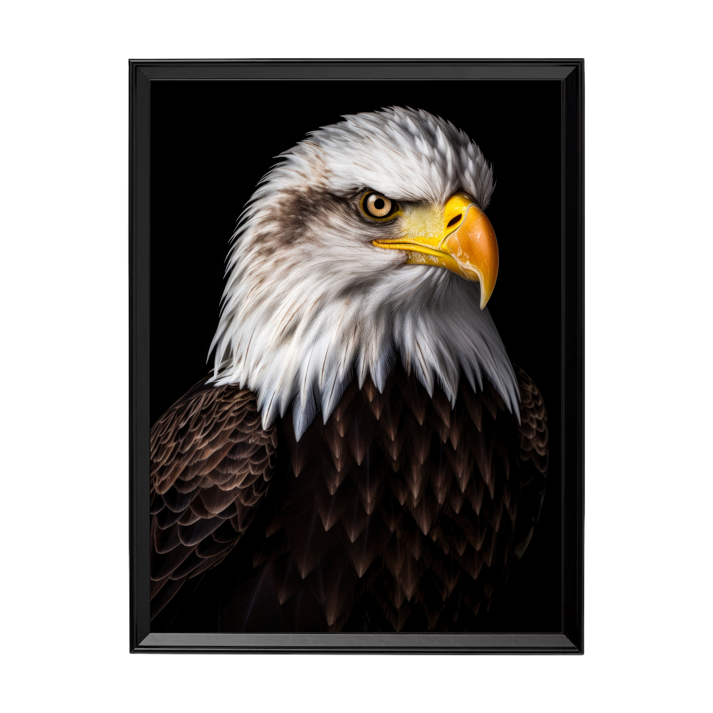 El Espíritu del Águila 1