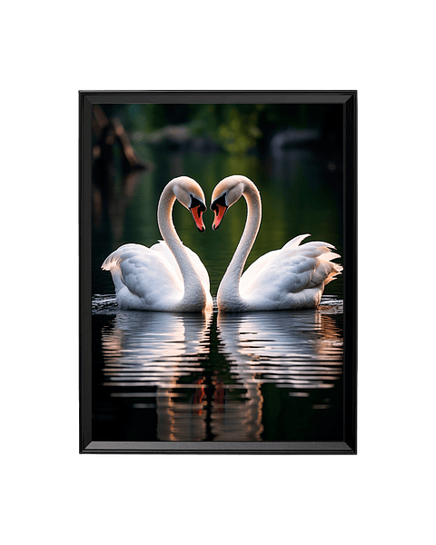 Sinfonía de Amor: El Abrazo de los Cisnes