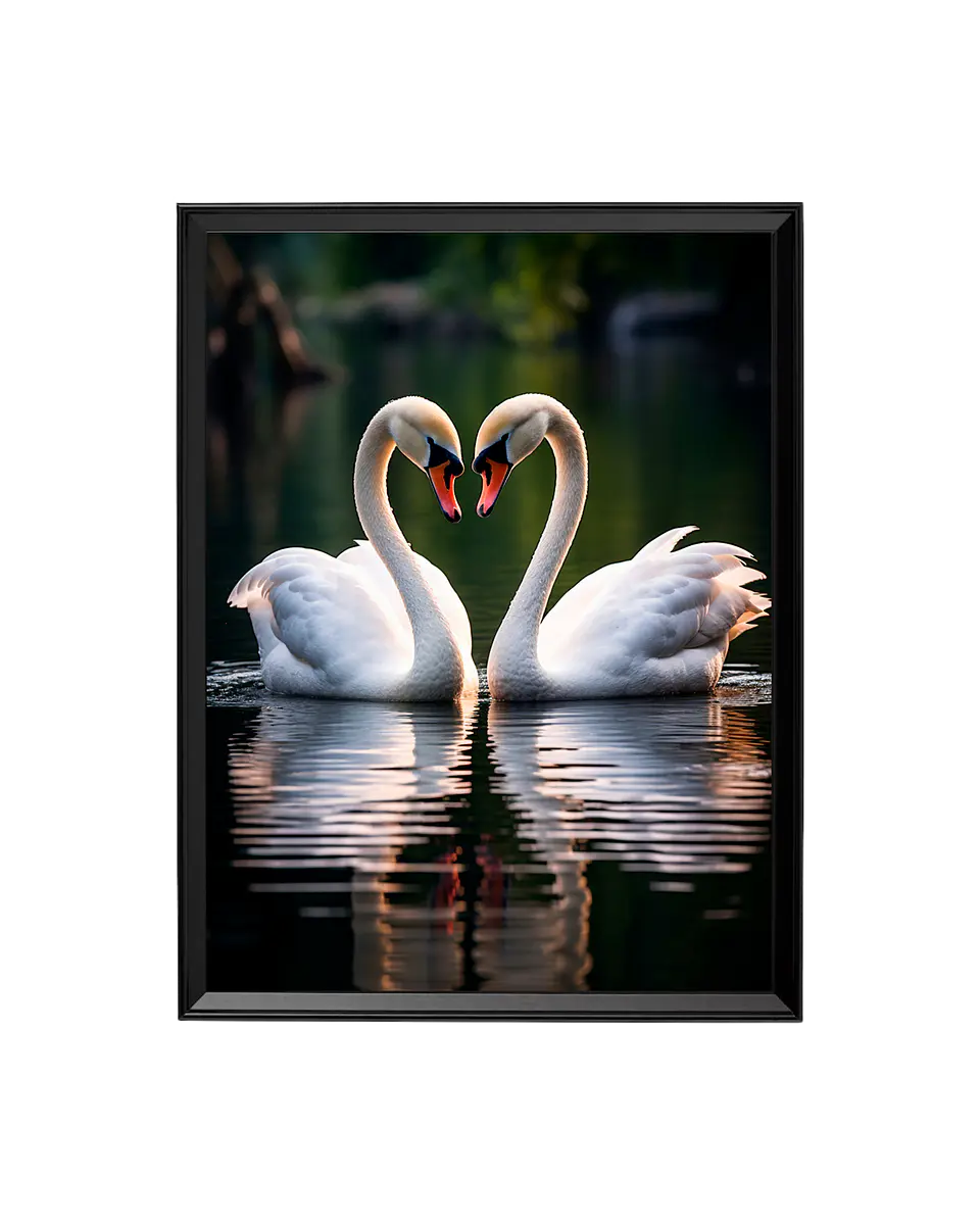 Cuadro Sinfonía de Amor: El Abrazo de los Cisnes 1