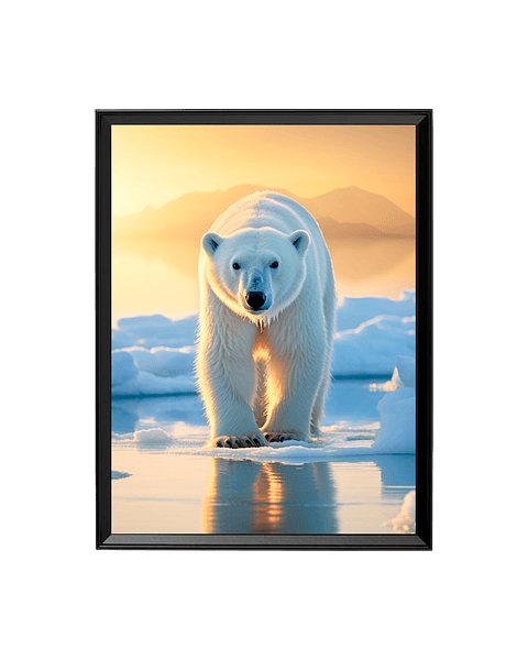 El Oso Polar del Sol Ártico