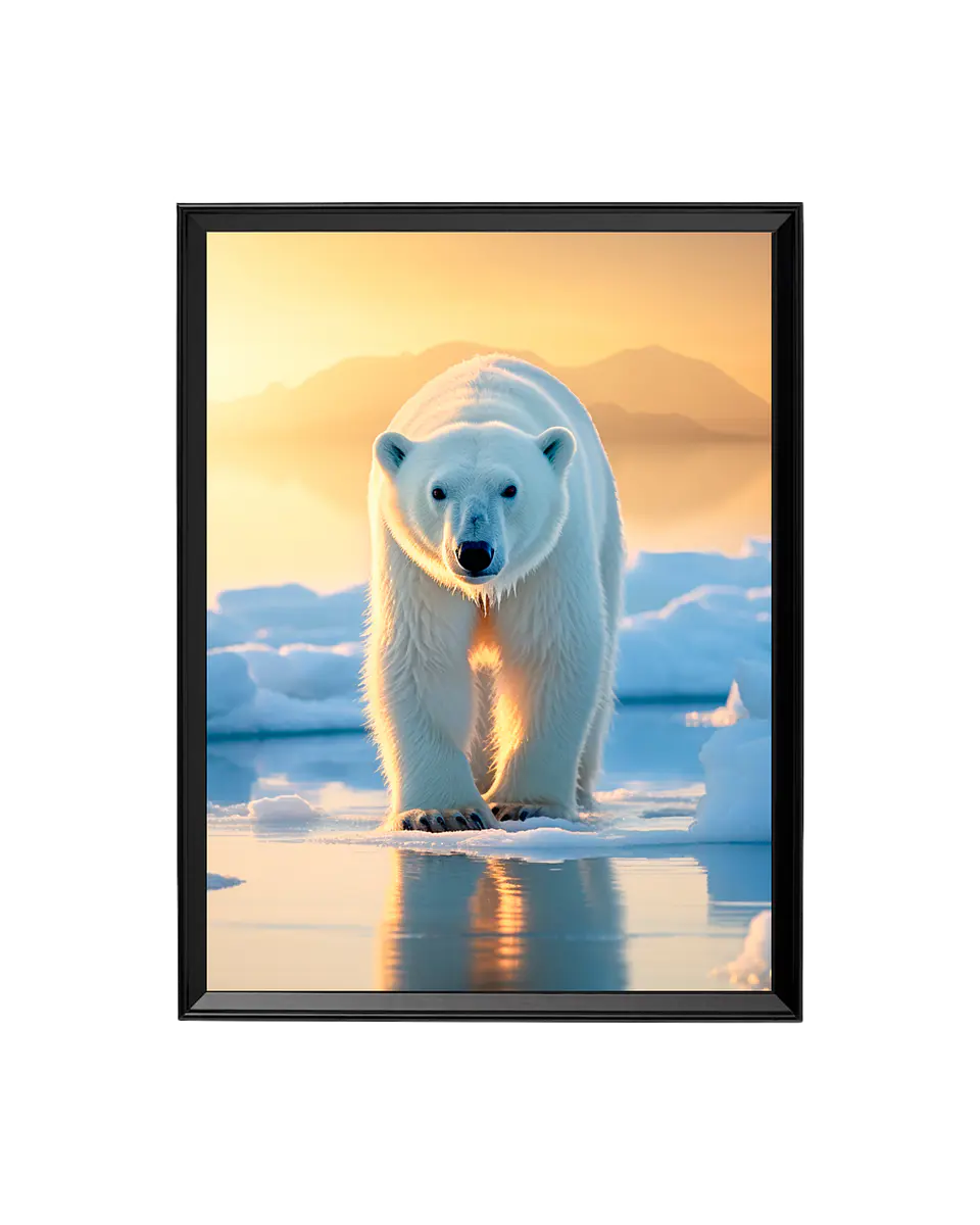 Cuadro El Oso Polar del Sol Ártico 1