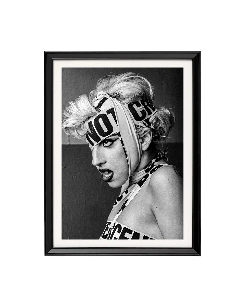 Cuadro Lady Gaga: Advertencia de Ícono 1