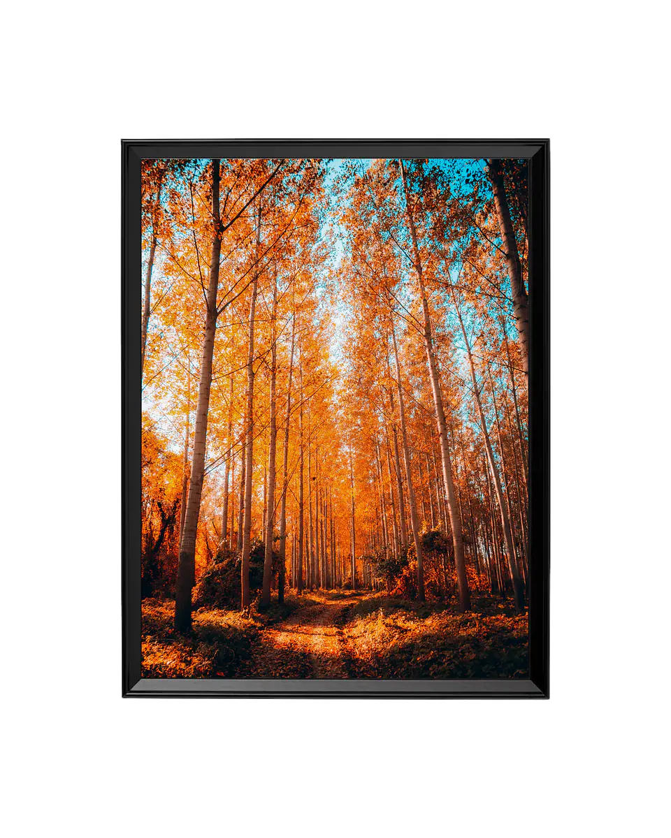 Cuadro Bosque Dorado - La Magia del Otoño 1