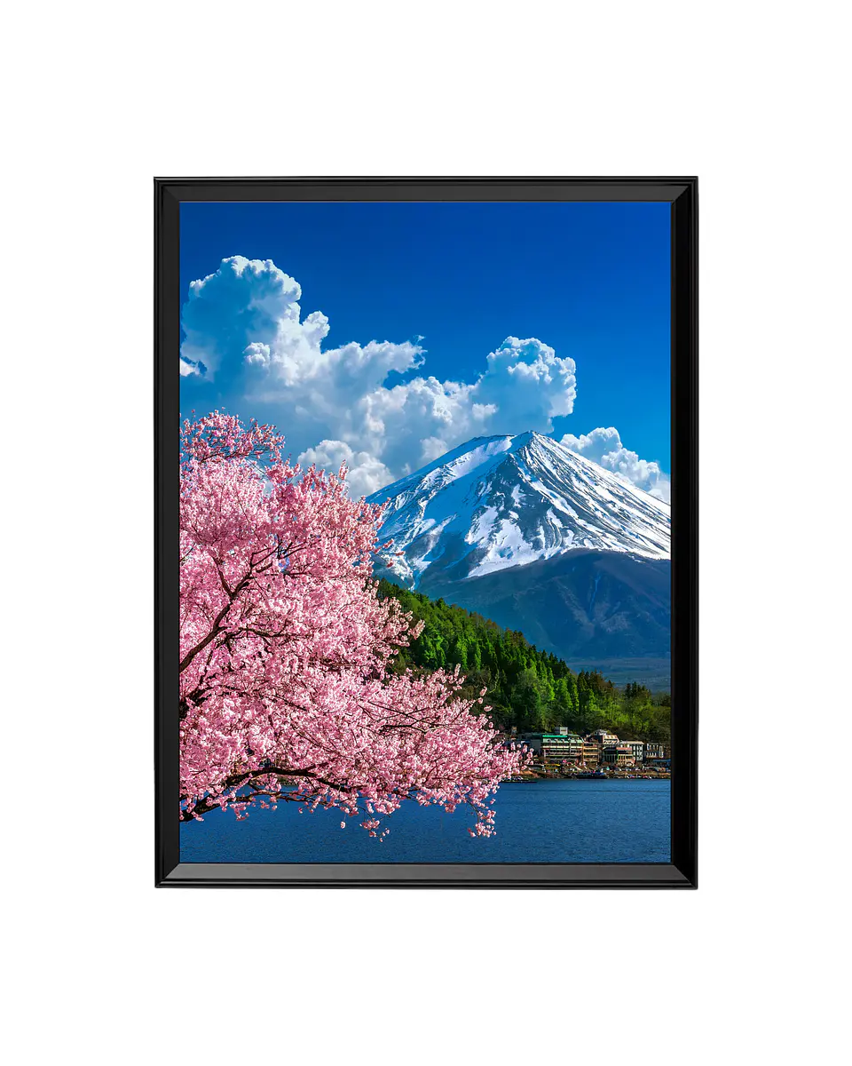 Cuadro Monte Fuji - La Primavera Eterna 1