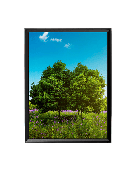 Cuadro Prado en Flor - Serenidad Natural