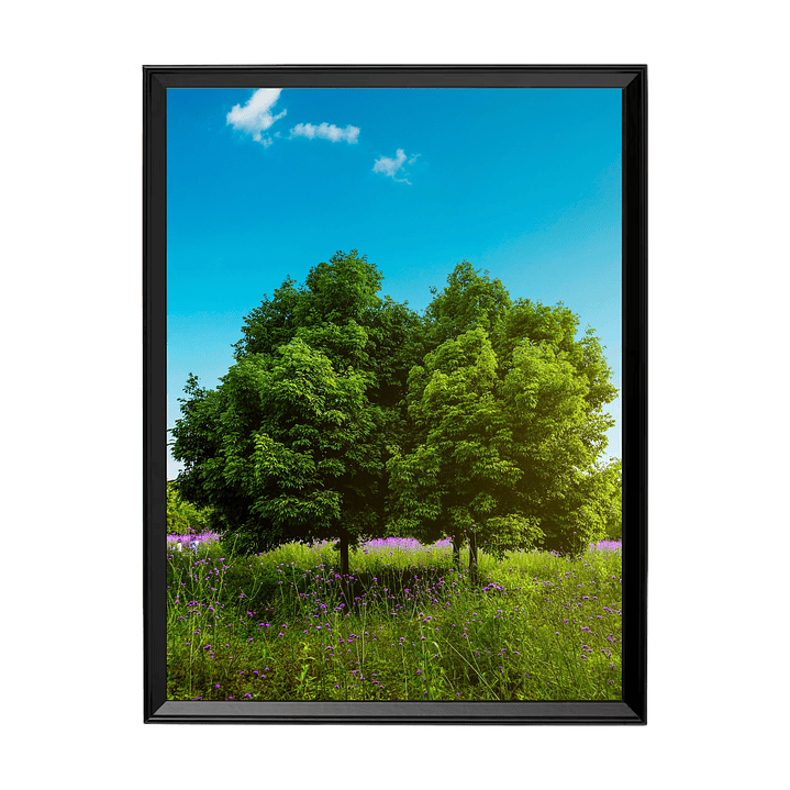 Prado en Flor - Serenidad Natural 1