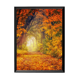 Túnel de Otoño - El Sendero Dorado