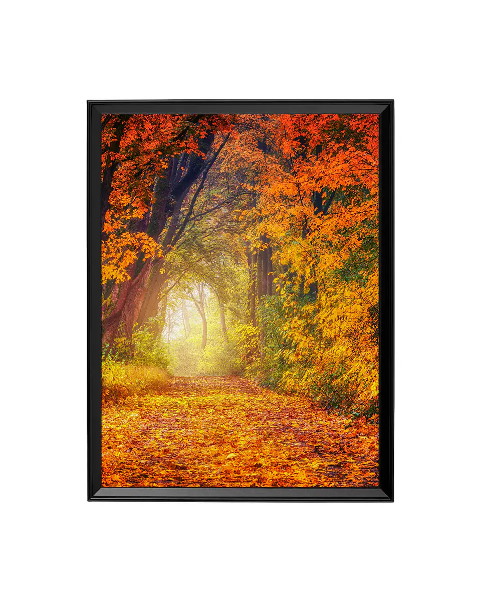 Cuadro Túnel de Otoño - El Sendero Dorado 1