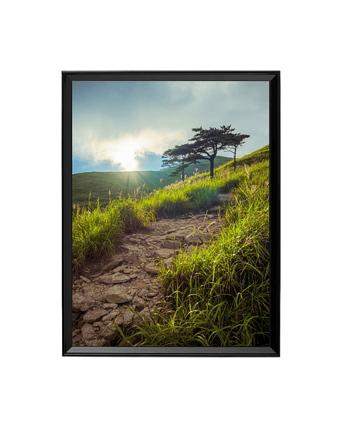 Cuadro Sendero de Luz - Ascenso a la Calma