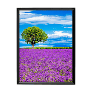 Árbol Solitario en Campo Púrpura