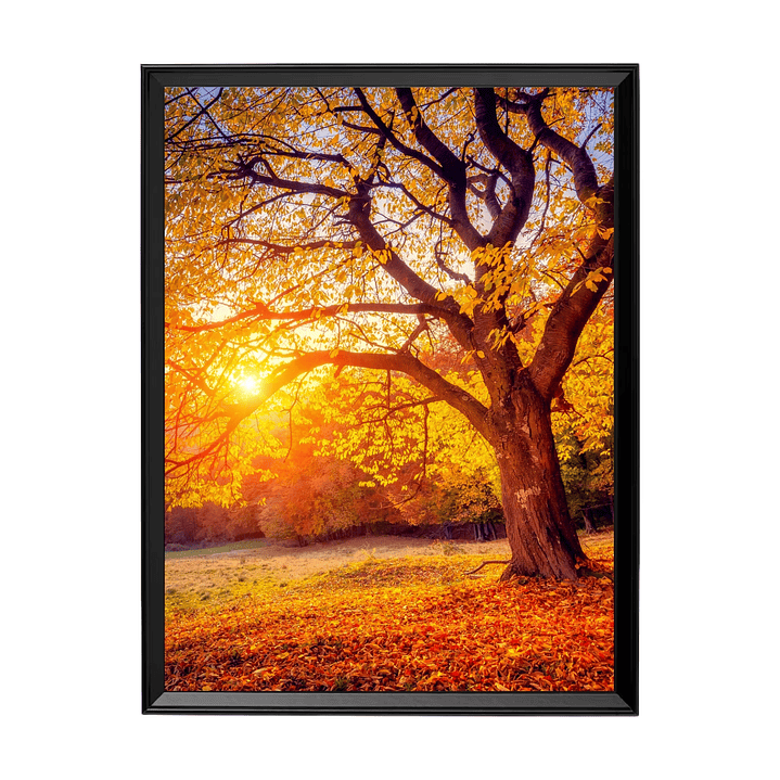 Árbol de Otoño Dorado - Abrazo de Luz y Color 1