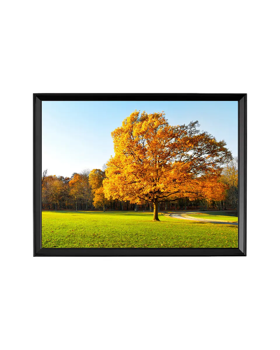 Cuadro Solitario Dorado - Sinfonía Otoñal 1