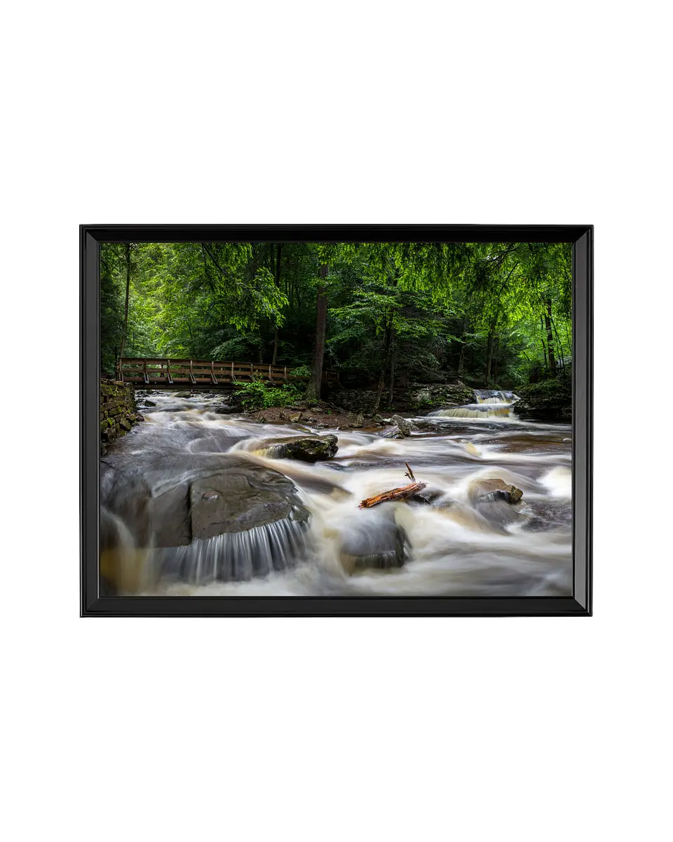 Cuadro Río del Bosque Profundo - Murmullo de la Naturaleza 1