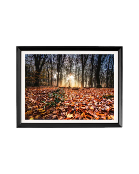 Cuadro Amanecer en el Suelo Dorado - Misticismo del Bosque