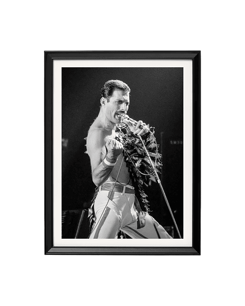 Freddie Mercury - Queen