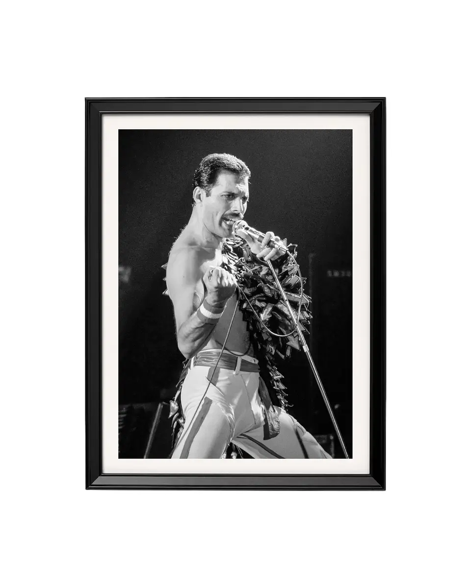 Cuadro Freddie Mercury - Queen 1
